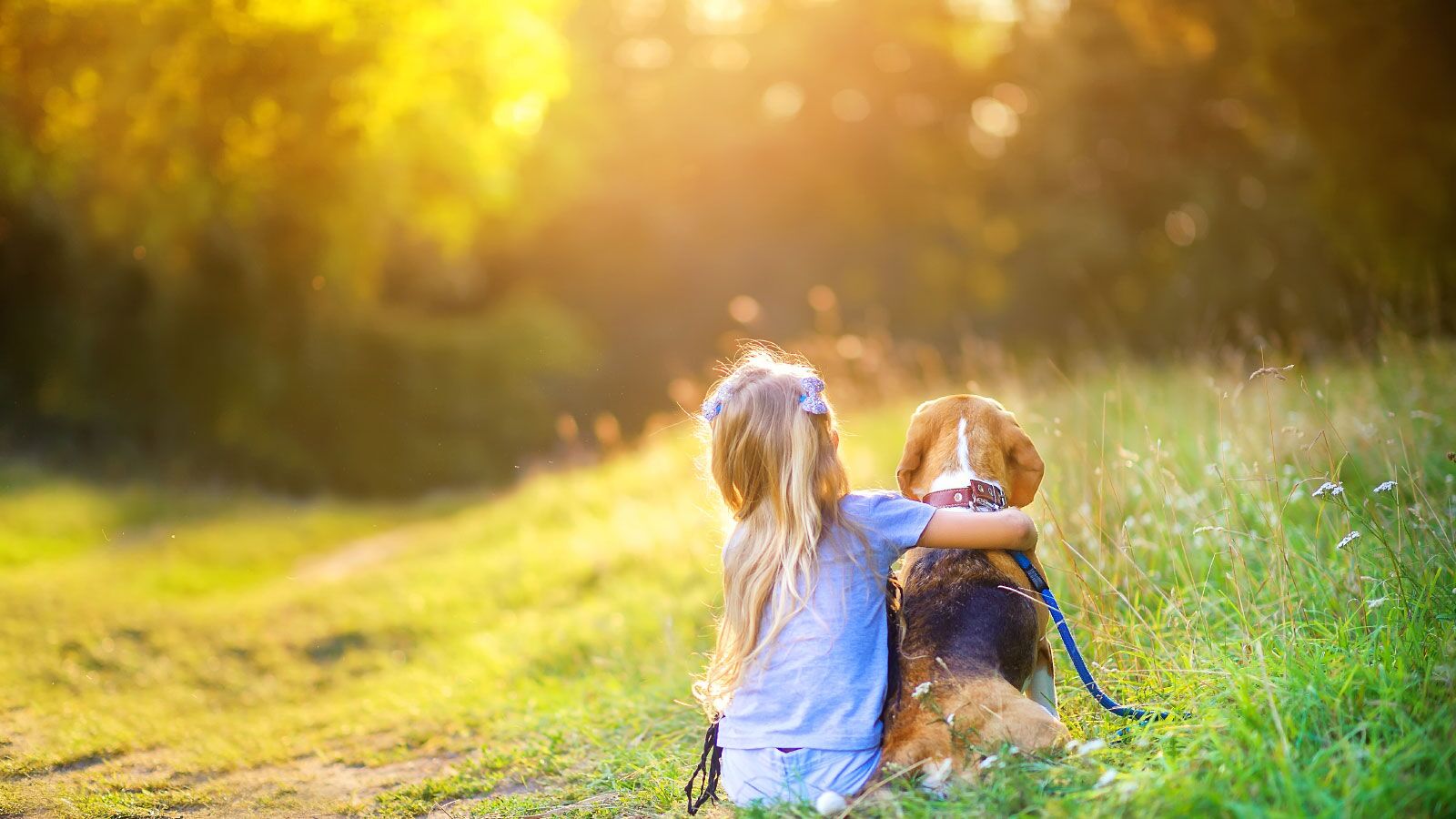 Urlaub mit Hund - Ferienhäuser und Ferienwohnungen für den Hundeurlaub