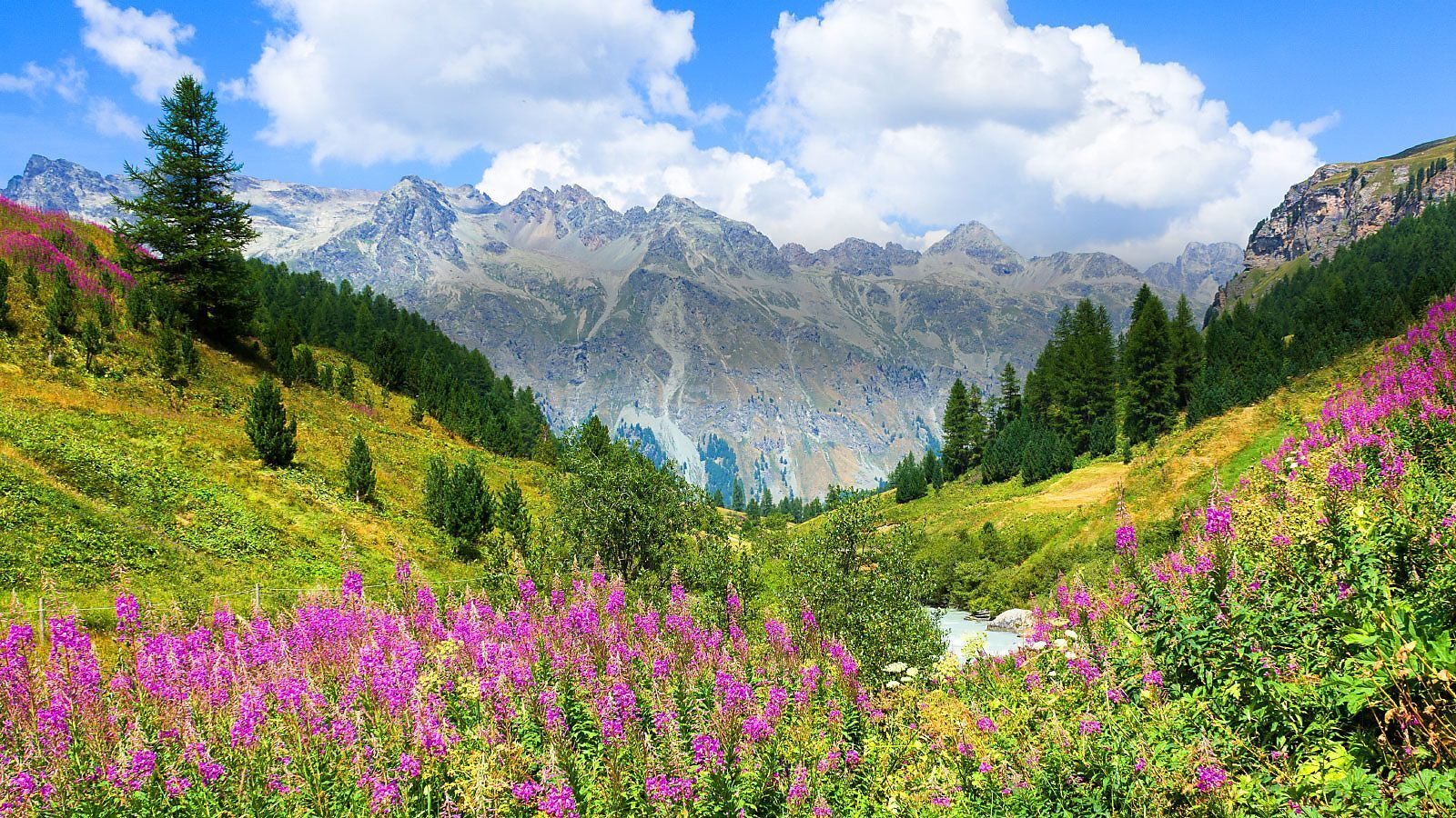 Ferienhäuser und Ferienwohnungen Oberengadin