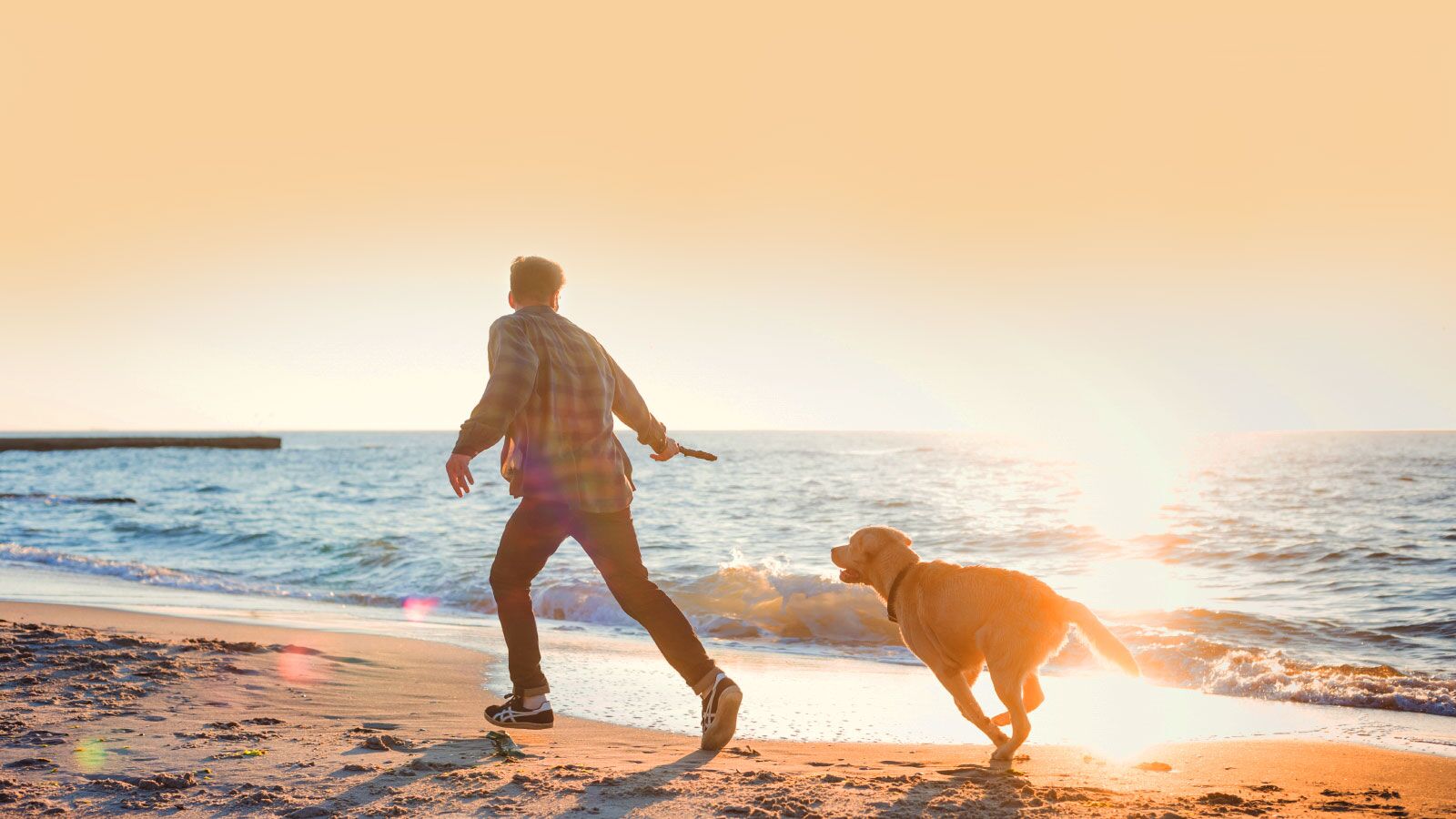 Ferienwohnung Und Ferienhaus Auf Den Ostseeinseln
