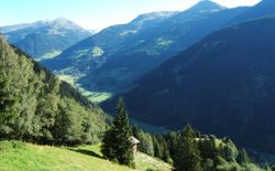 Bild 32