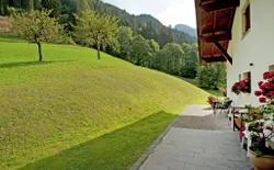 Bild 19