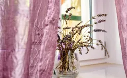 Ferienhaus "JMJ Nono Piran", Bild 1