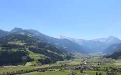 Bild 15