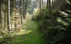 Bild 33