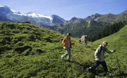 Bild 23