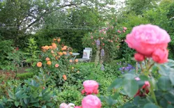 Bild 14: IMG_9347(1)