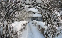 Bild 46: So kann auch der Winter an der Ostsee sein