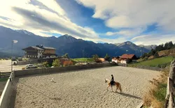 Bild 3: Bio & Reiterhof der Veitenhof Sommerurlaub Ötztal