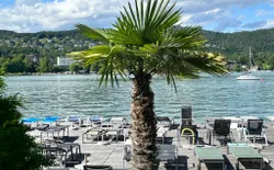 Bild 19
