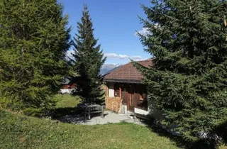 Bild 2: Bild 2