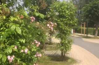 Bild 3: Direkte Umgebung des Objekts. Störtebekerstr.