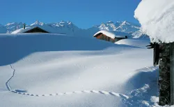 Bild 28