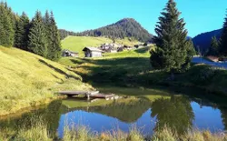 Bild 33