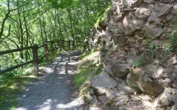 Bild 26: Rundweg um den See ca. 4.5 Kilometer