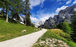 Bild 33
