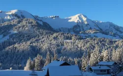 Bild 39