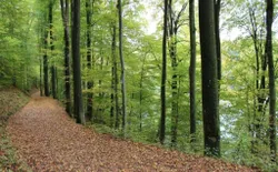 Bild 27