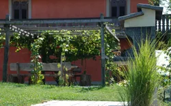 Bild 11