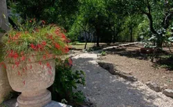 Bild 9: GARTEN DETAIL