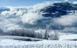 Bild 56