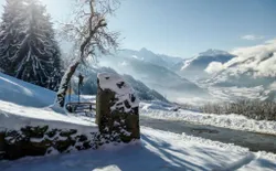 Bild 54