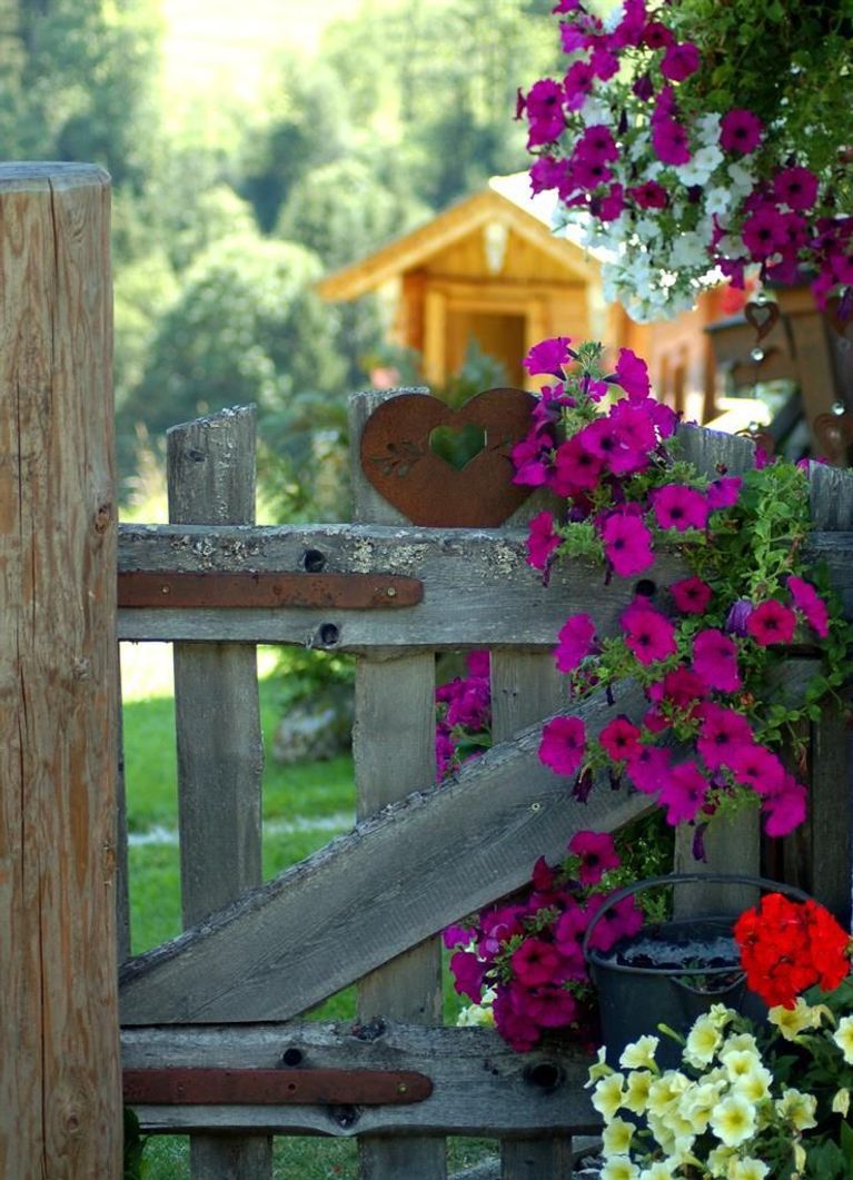 Oberers Flowers Promo Code Best Flower Site