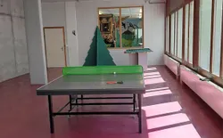Bild 11: Tischtennis