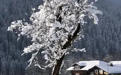 Bild 17