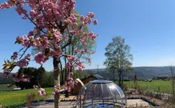 Bild 2: Garten