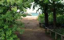 Bild 29: Strandübergang