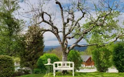 Bild 10