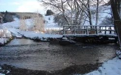 Bild 39: Medender Bach