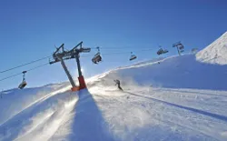 Bild 36