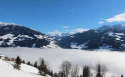 Bild 66