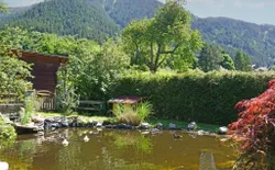Bild 16