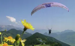 Bild 21