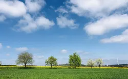 Bild 36: Farbenfroher Frühling am Ferienhaus