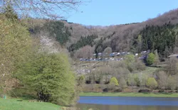 Bild 16: Ferienhäuser am See Frühling