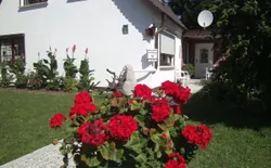 Bild 4: Garten. privater Eingang