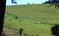 Bild 18: Am Rande des Dorfes