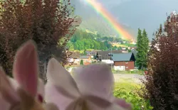 Bild 2: Aussicht im Sommer