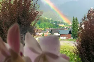 Bild 2: Aussicht im Sommer