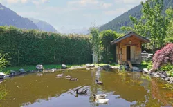 Bild 19