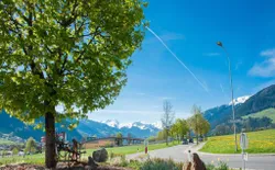 Bild 21