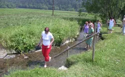 Bild 16