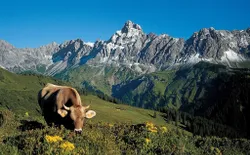 Bild 22