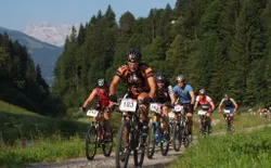 Bild 16