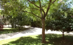 Bild 9: Garten