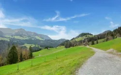 Bild 19
