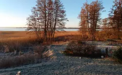 Bild 19
